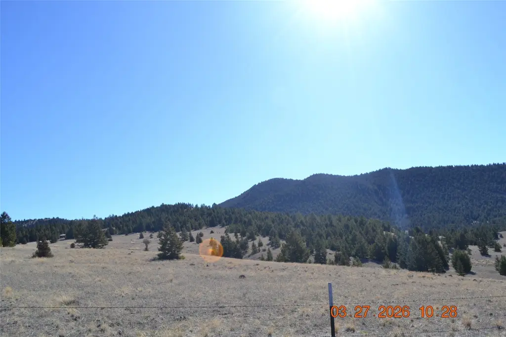 Picture 17