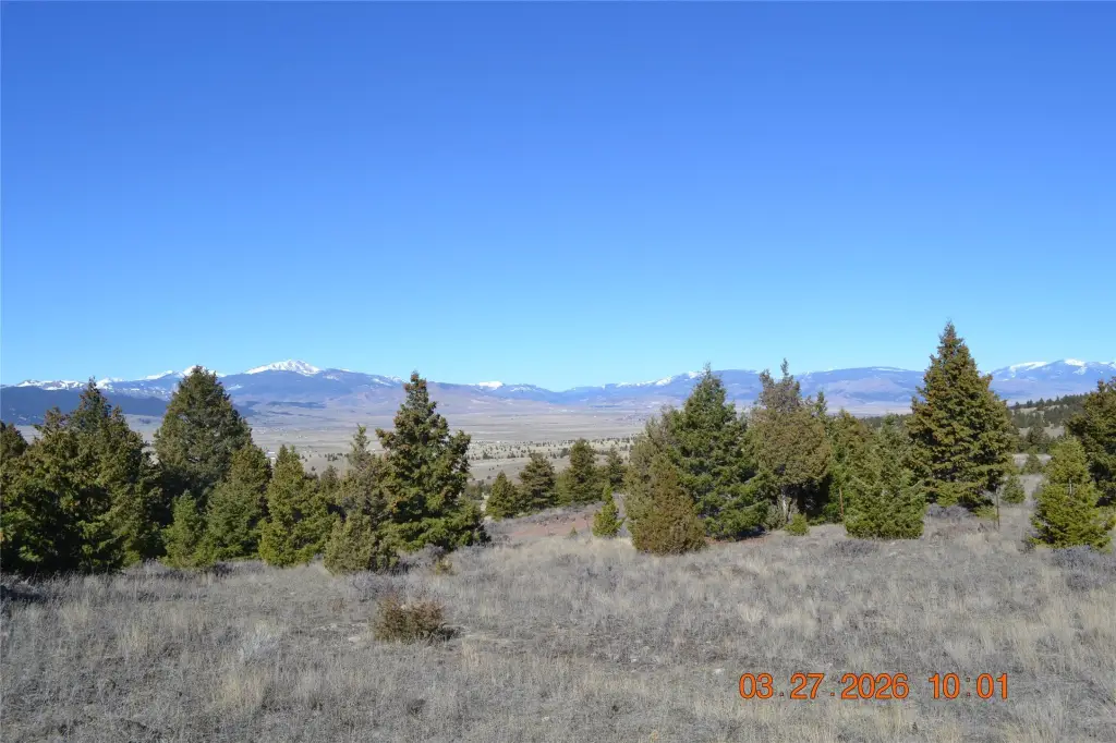 Picture 8