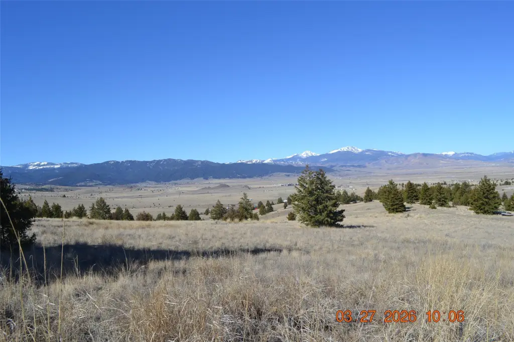 Picture 14