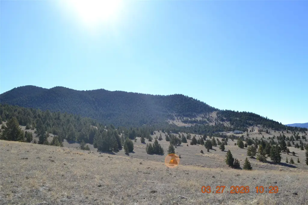 Picture 21