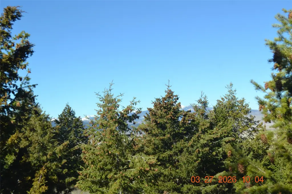 Picture 11