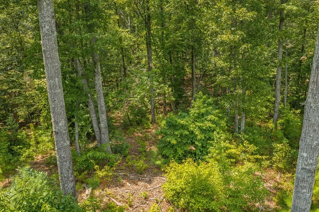 Picture 22