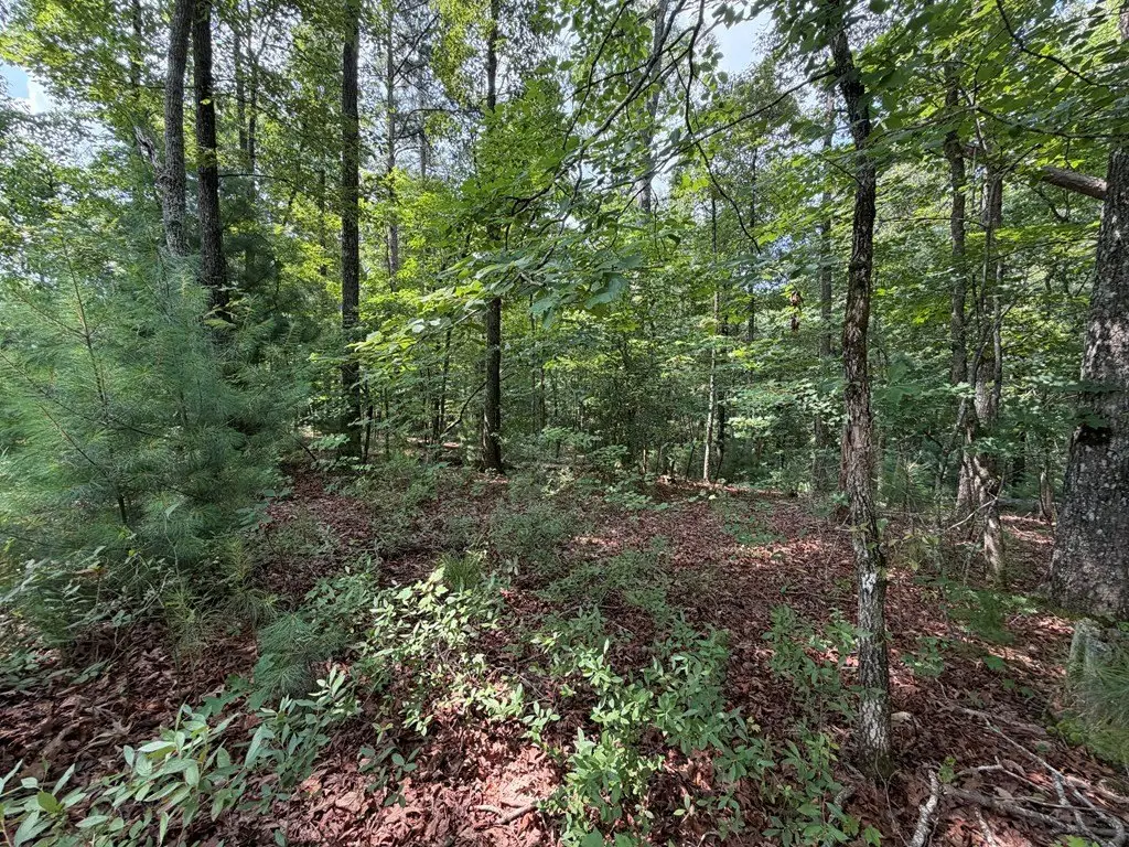 Picture 27