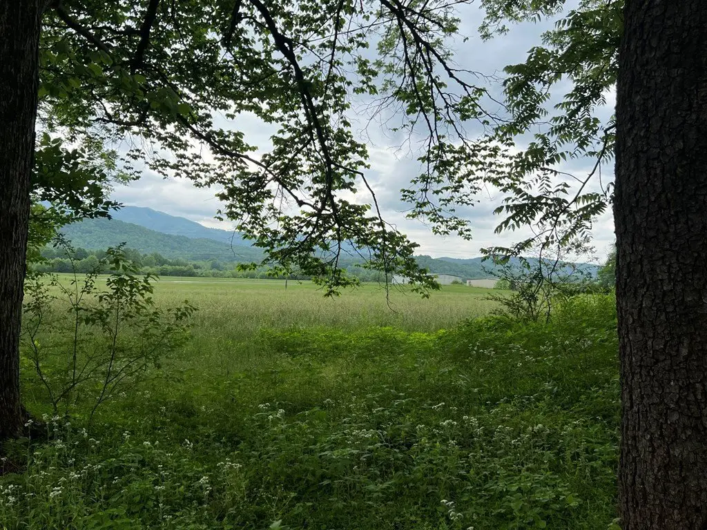 Picture 18