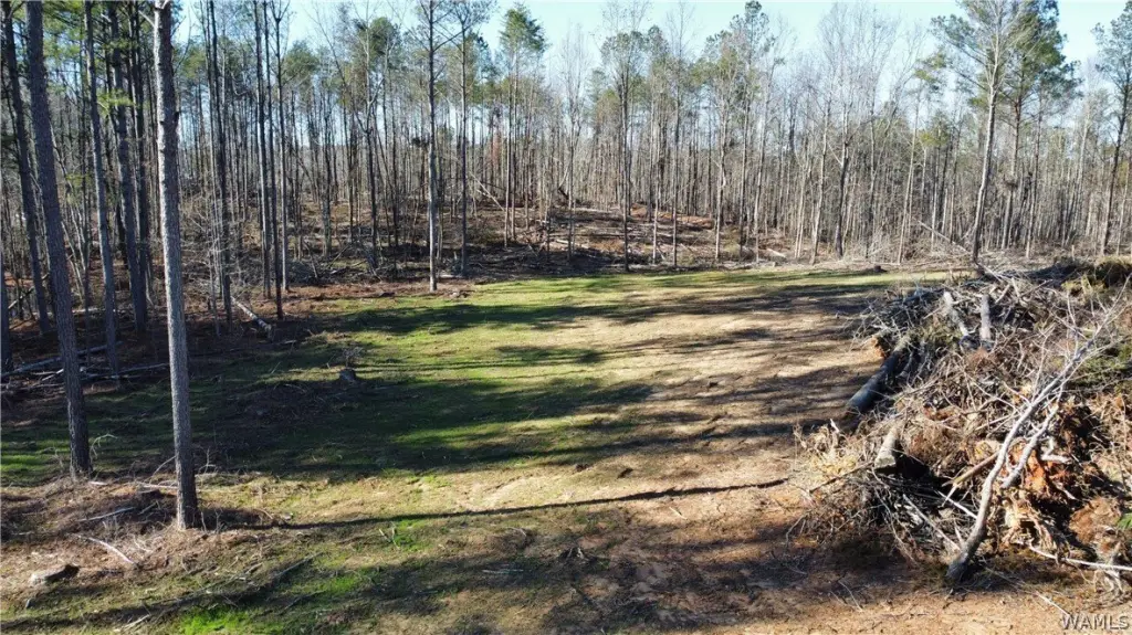 Picture 3