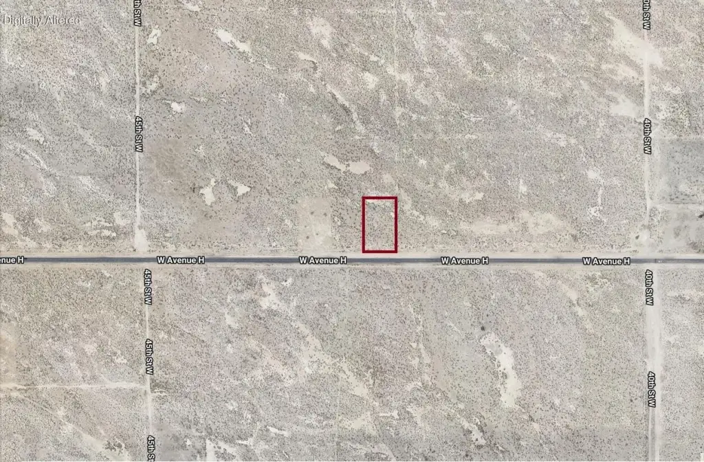 Picture 3