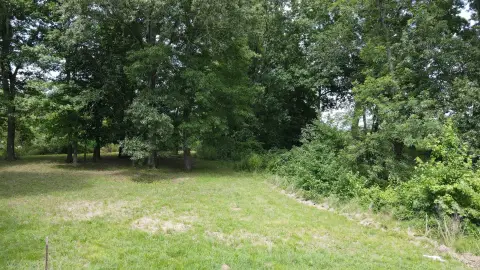 Waterfront Lots in Paradise Point