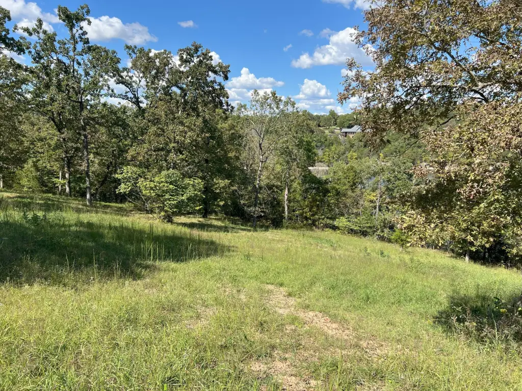 Picture 4