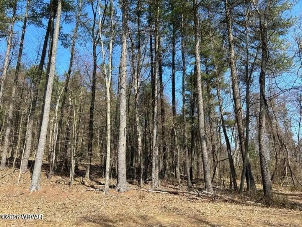 Picture 3
