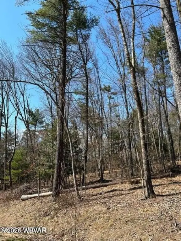 Picture 3