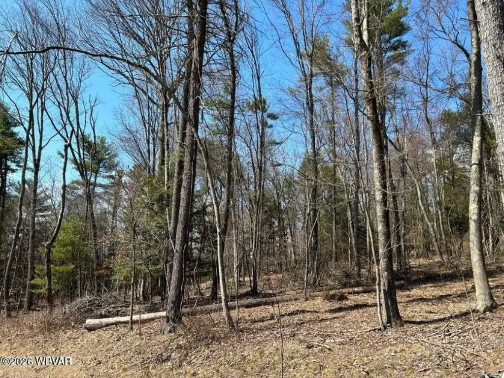 Picture 4