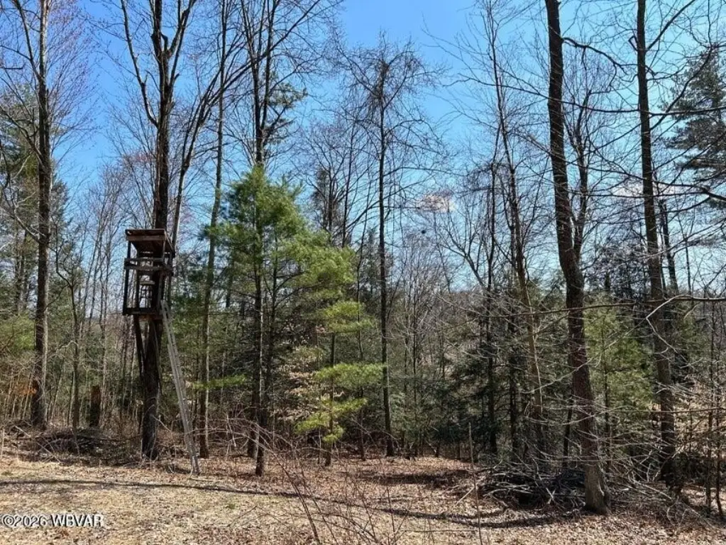 Picture 3