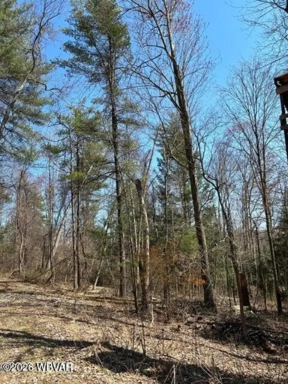 Picture 4