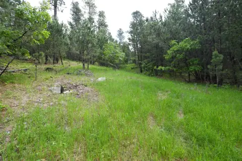 Residential Land in Paradise Acres