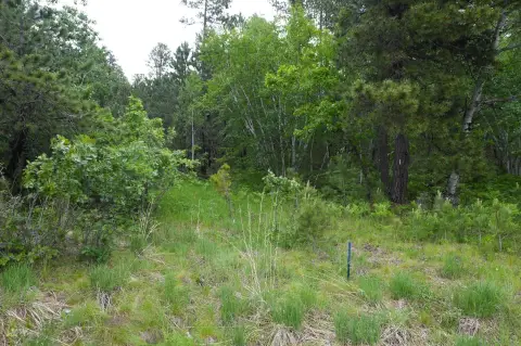 Residential Land in Paradise Acres