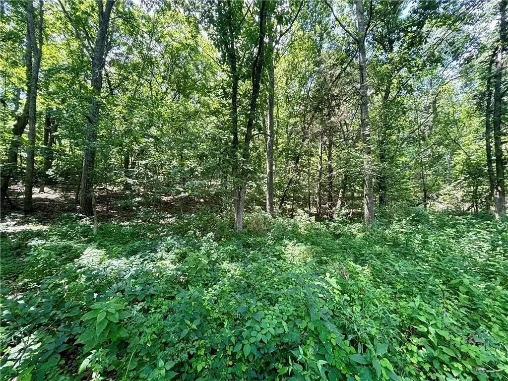 Picture 8