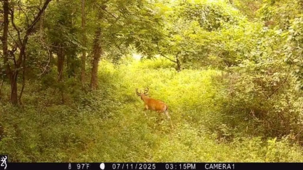 Picture 3
