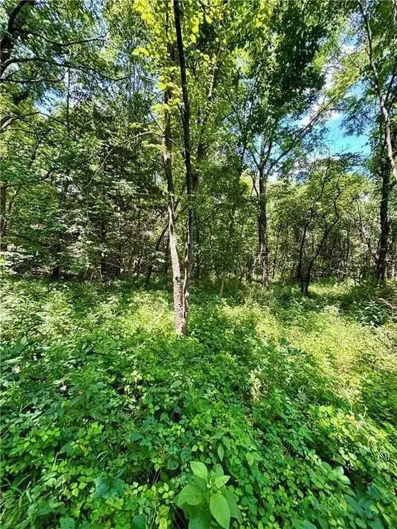 Picture 11