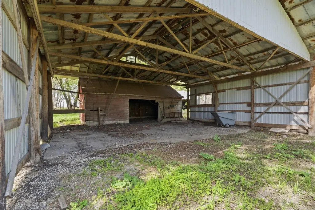 Picture 6