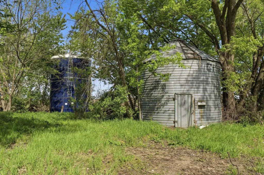 Picture 4