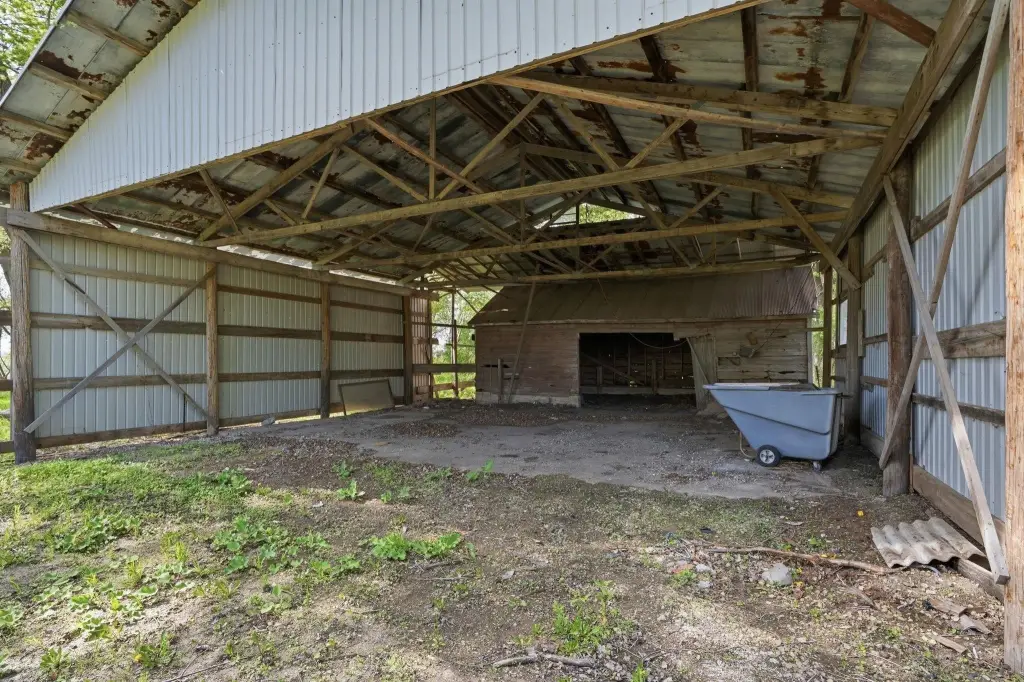 Picture 7