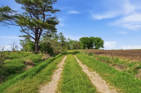 Land Near Avenue of Saints