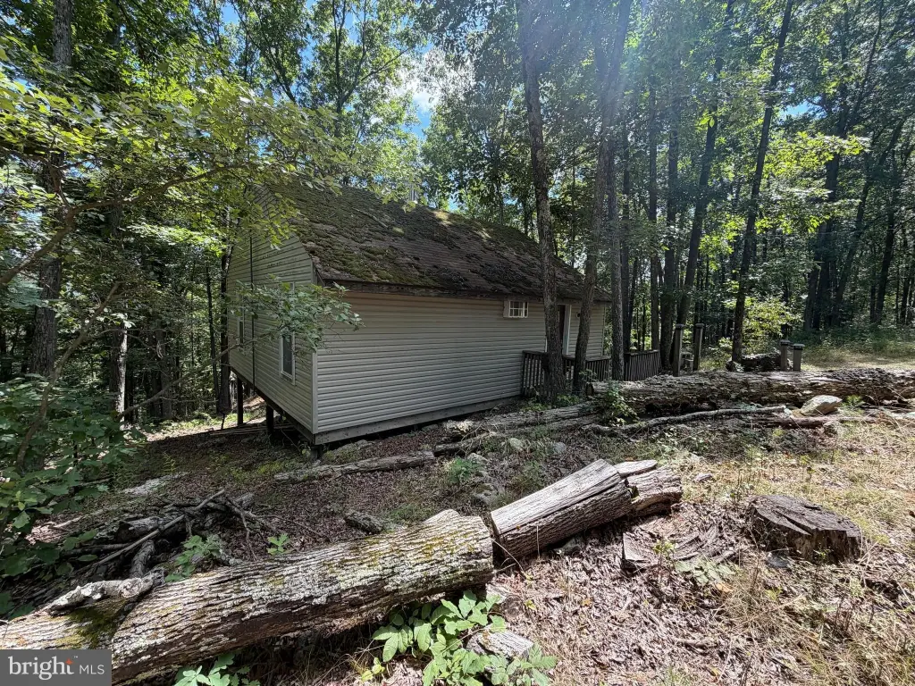 Picture 16