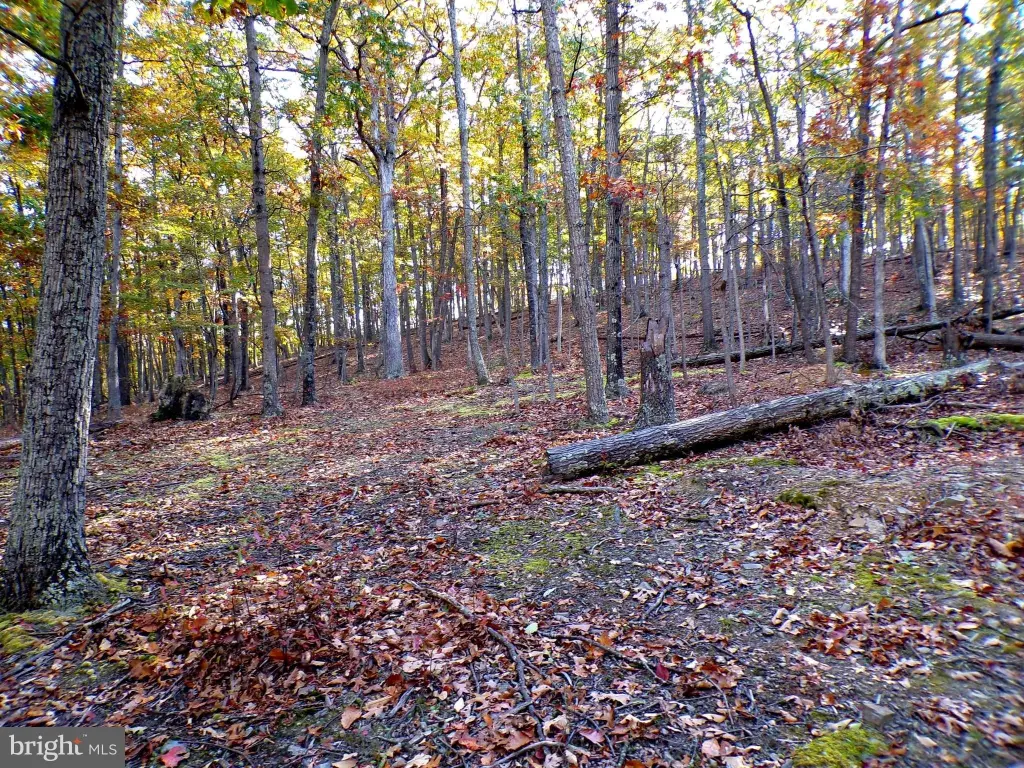 Picture 3