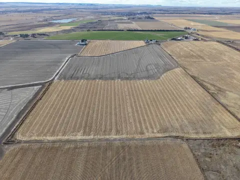 Irrigated Farmland Opportunity