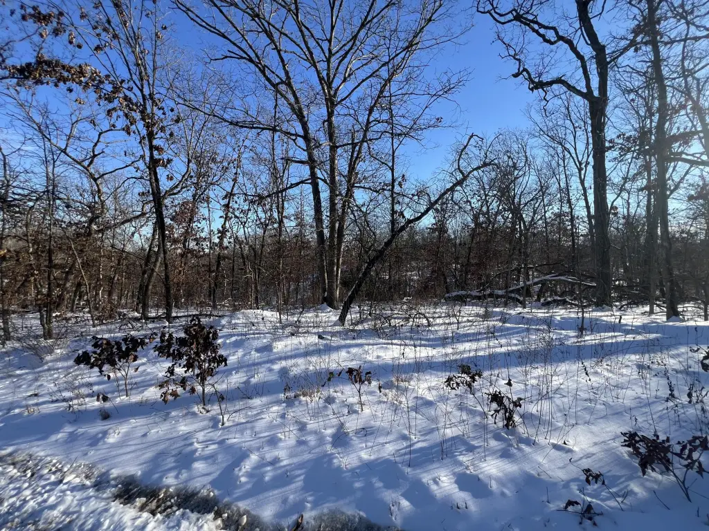 Picture 21