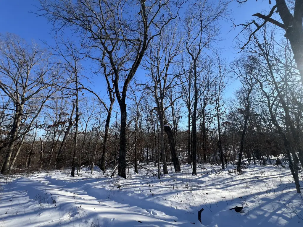 Picture 17