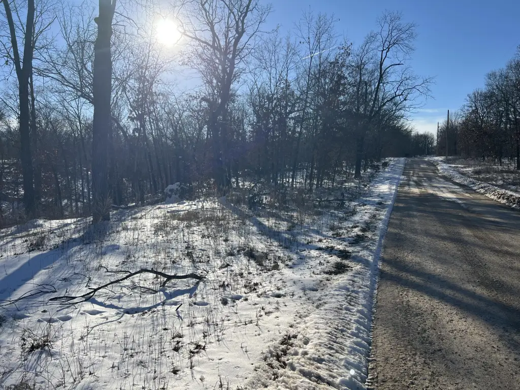 Picture 25