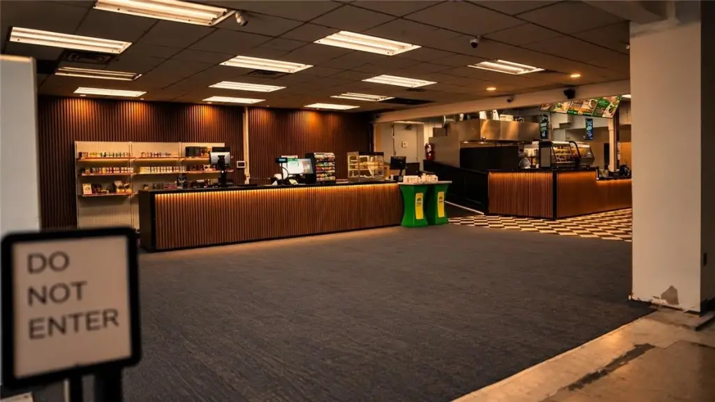 Picture 5