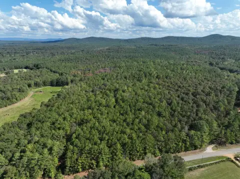 Hunting Land with Trail System