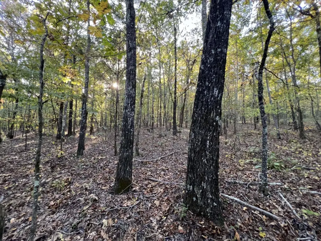 Picture 6