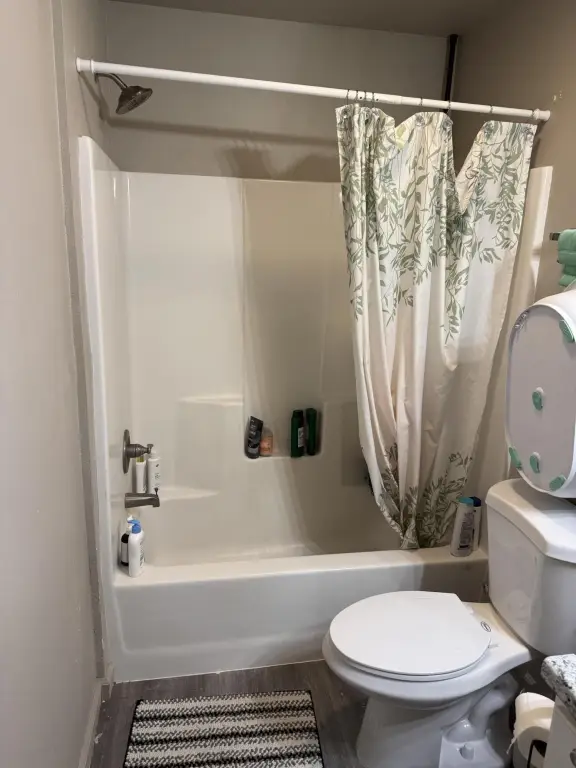 Picture 15