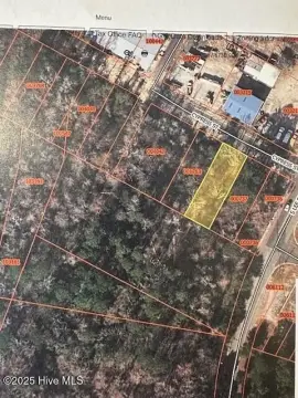 Undeveloped Lots in Whiteville, NC