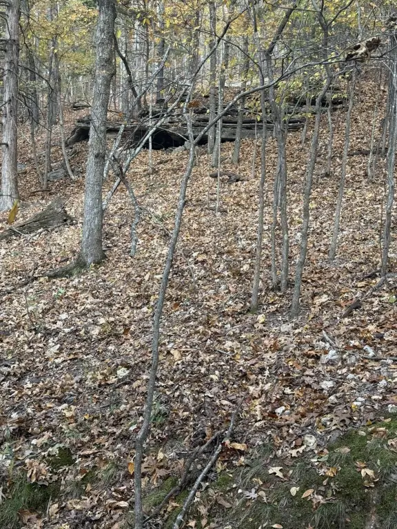 Picture 15
