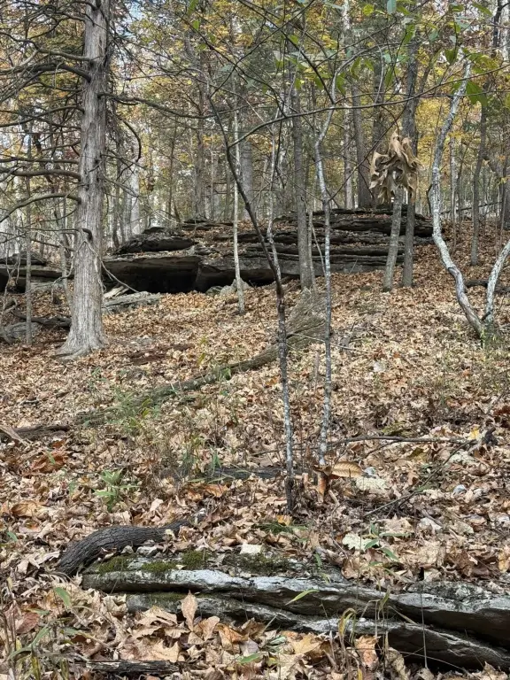 Picture 5
