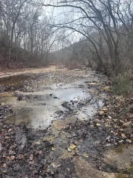 Land For Sale Drury, MO