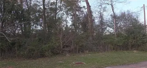 Hammond Land in Cypress Crossing