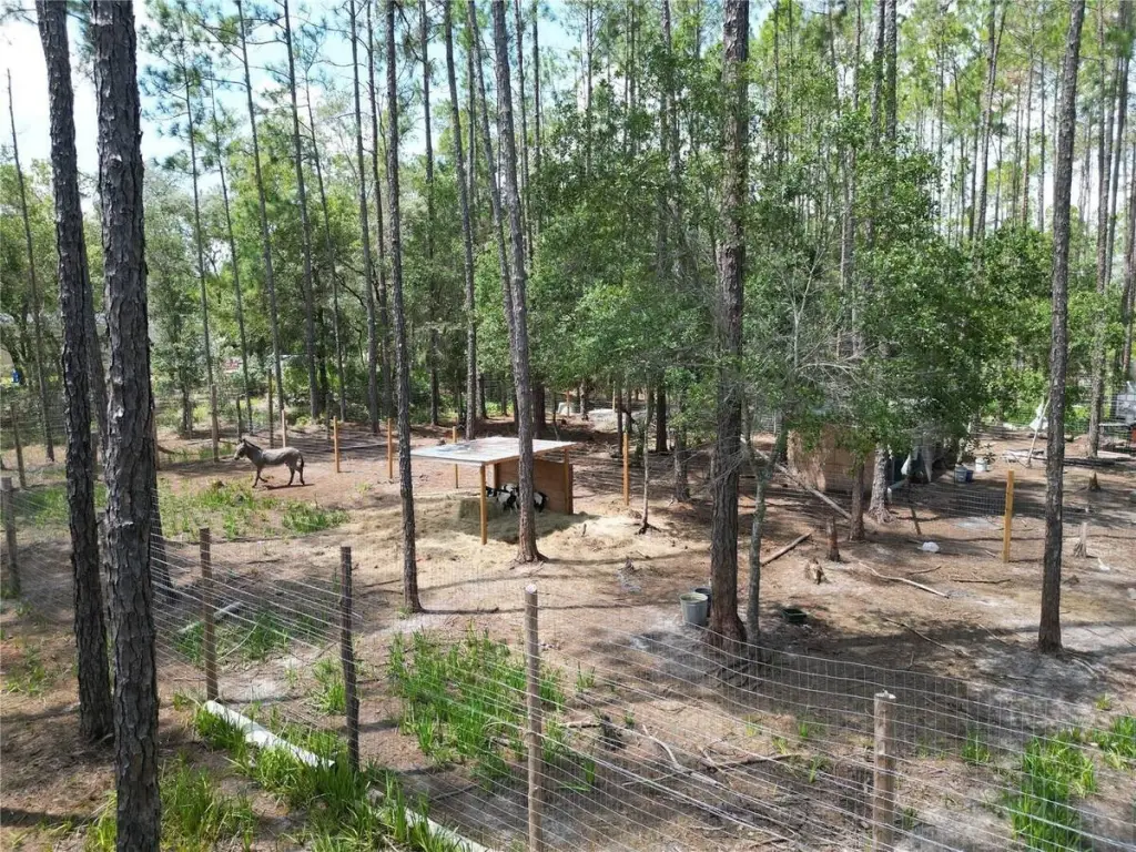 Picture 12