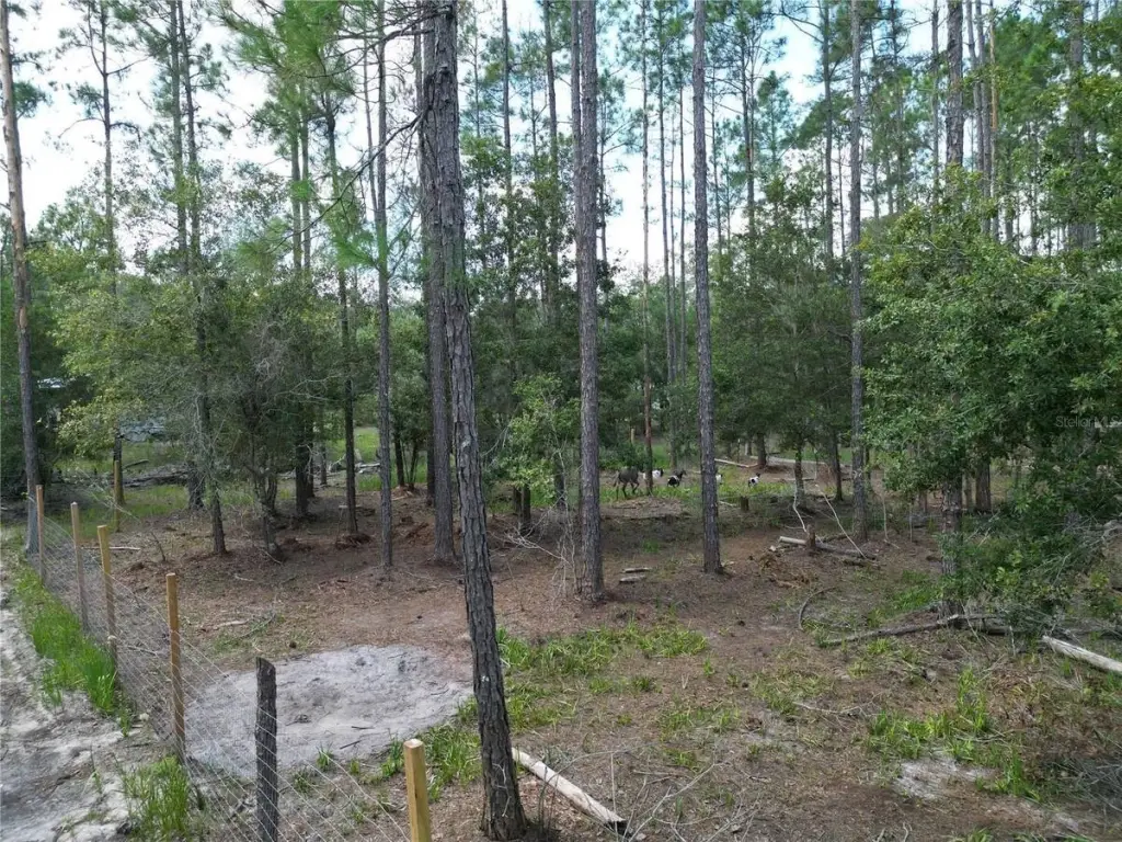 Picture 11