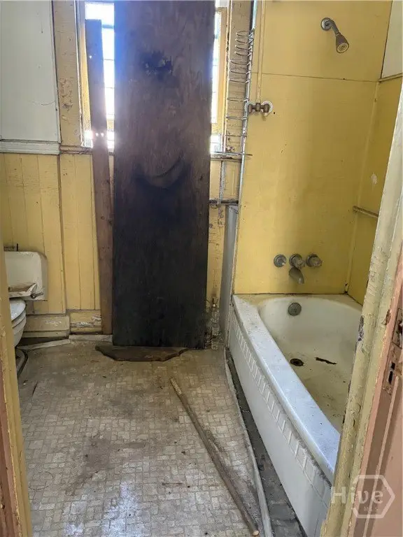 Picture 19