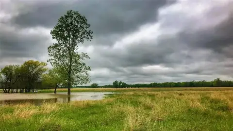 55+ Acre Land in Petty, TX