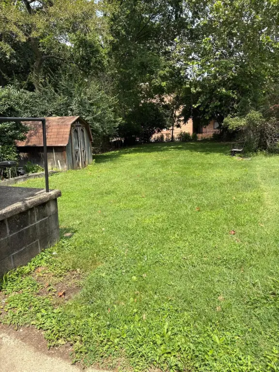 Picture 6