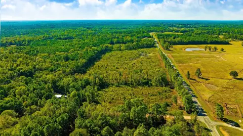 Hunting Land with Road Access