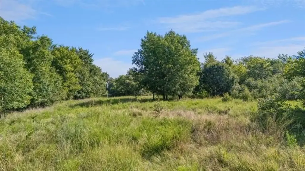 Picture 15