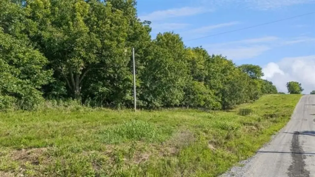 Picture 6