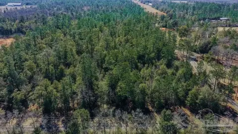 Pace, FL 4-Acre Land Parcel